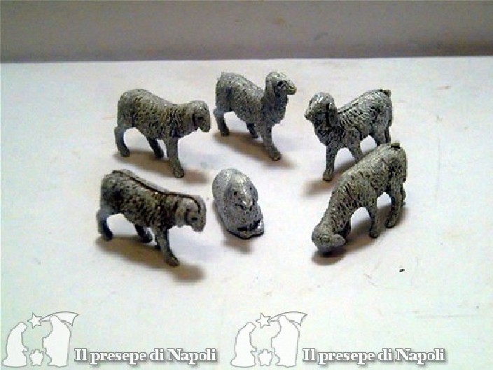 kit 6 pecore